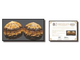 Name of the Artwork:&nbsp;Walnut PairMaterial:&nbsp;Silicified crocidoliteDimensions:&nbsp;Each approximately 3.5cm (H) x 4cm