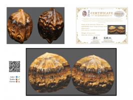 Name of the Artwork:&nbsp;Walnut PairMaterial:&nbsp;Silicified crocidoliteDimensions:&nbsp;Each approximately 3.5cm (H) x 4cm
